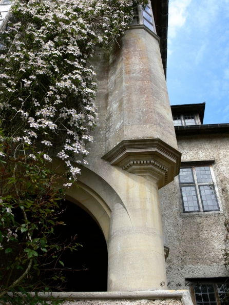 Bois des Moutiers (80) Mai 2012